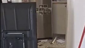 צילום: מסך מאקו